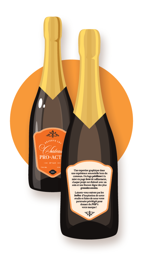Image-siteweb Château Pro-Actif