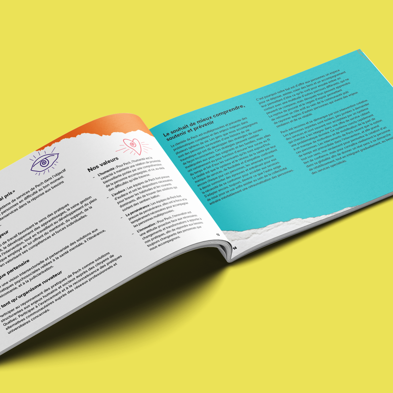 PECH - Rapport annuel PECH - Rapport annuel